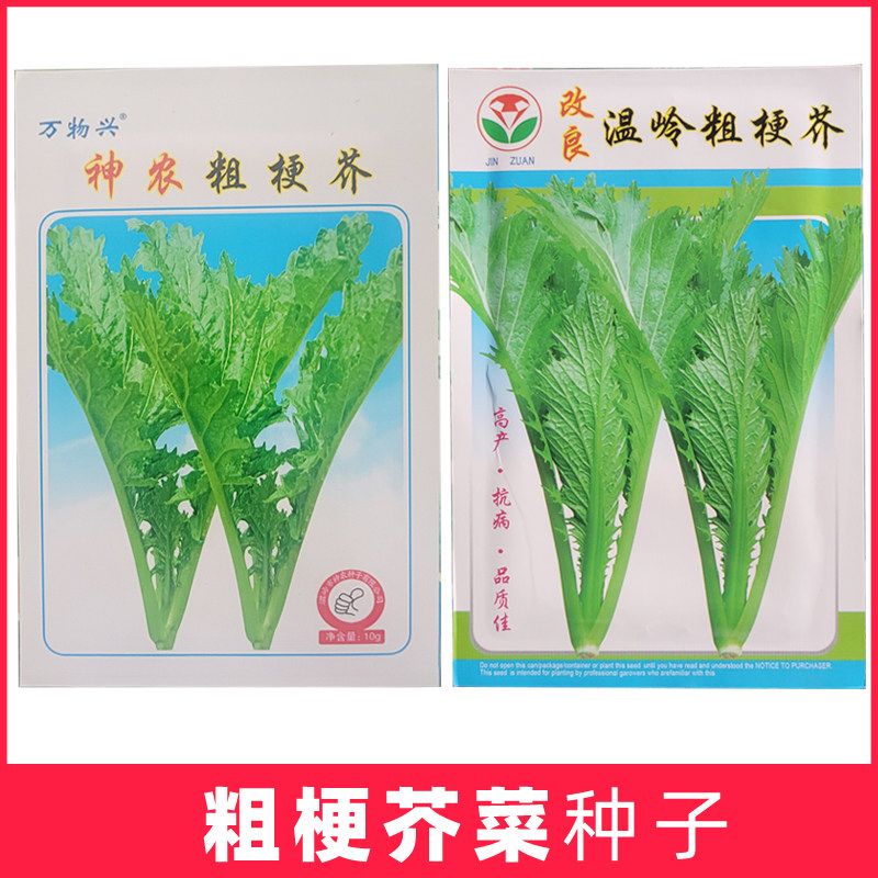台州温岭神农粗梗芥种子介菜农家大田蔬菜阳台菜籽腌咸菜酸梅干菜