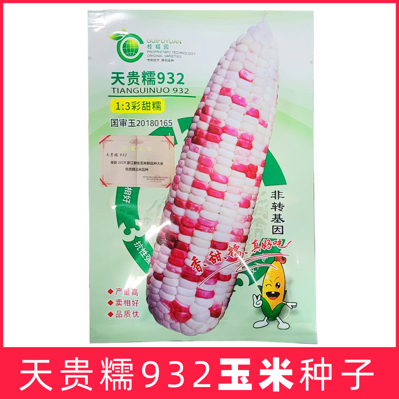 天贵糯937玉米种子鲜食玉米大棒饱满春秋籽超甜糯香彩花高产浙江