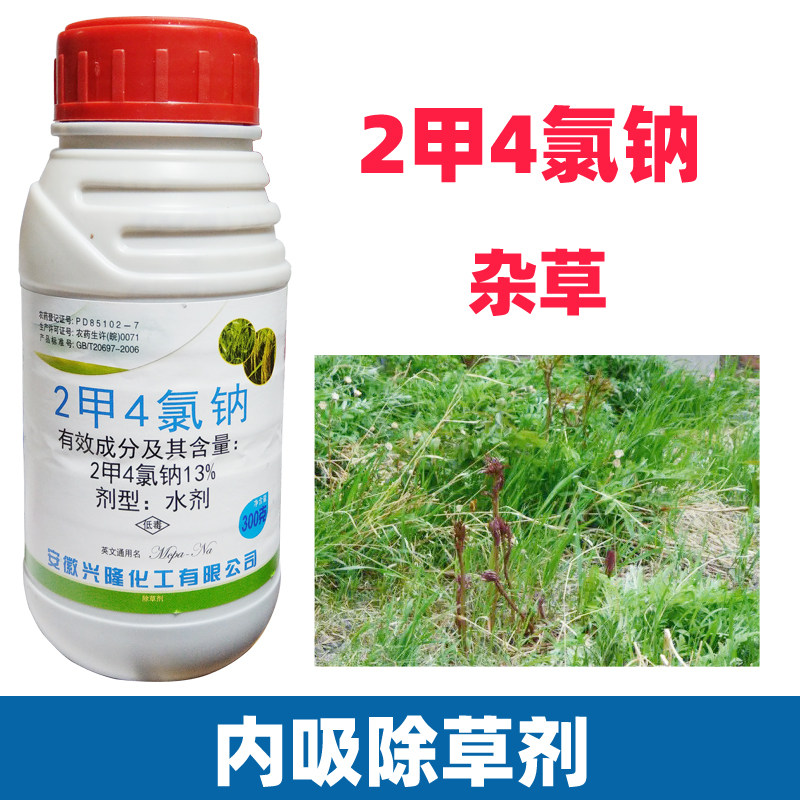 2甲4氯二甲四氯钠水稻小麦玉米地草坪杂草除草专用药剂烂根莎草