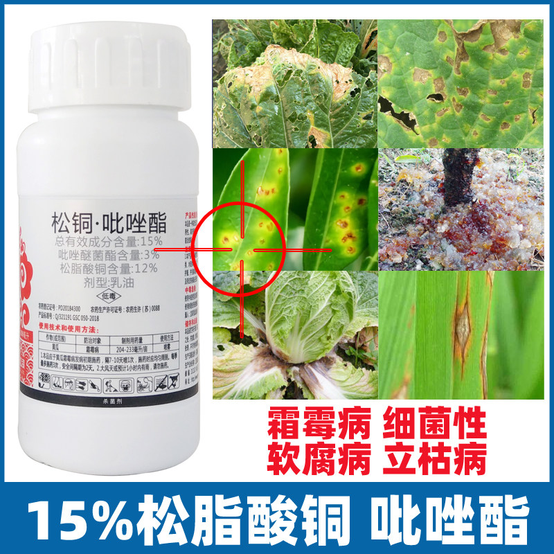 松脂酸铜吡唑酯黄瓜辣椒番茄西瓜白菜桃李子荔枝霜霉细菌性角斑病