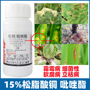 松脂酸铜吡唑酯黄瓜辣椒番茄西瓜白菜桃李子荔枝霜霉细菌性角斑病