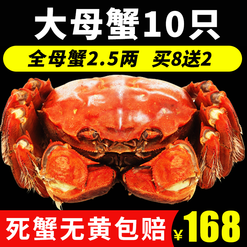 現貨正宗陽澄湖大閘蟹鮮活六月黃特大 全母2.5兩10只禮盒裝螃蟹