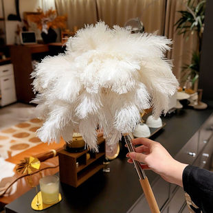 扫灰神器！鸡毛掸子鸵鸟毛静电除尘家用可伸缩加长柄缝隙清理工具