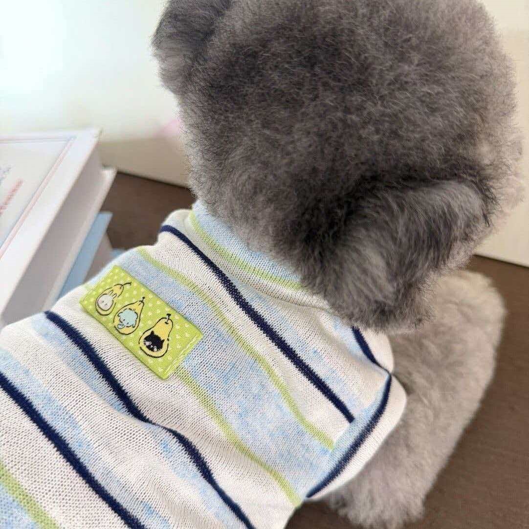 小比熊衣服夏季衣服条纹韩风宠物背心服饰泰迪约克夏透气猫咪服装