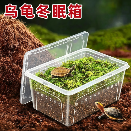 乌龟冬眠箱恒温保温孵化椰土苔藓