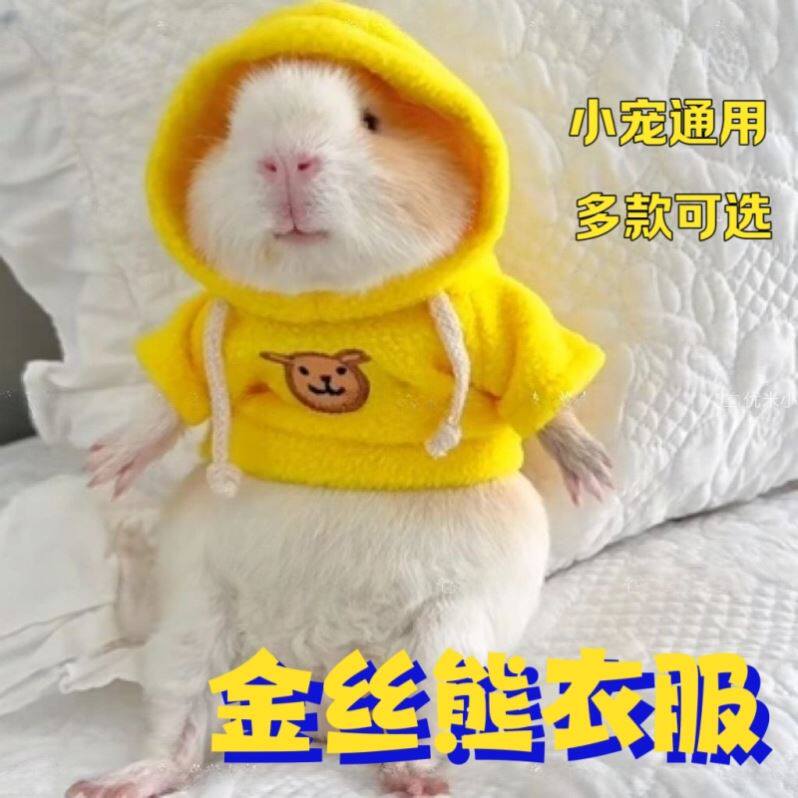 金丝熊衣服仓鼠专用新年小衣服修公仔玩偶毛衣卫衣合集配件娃娃衣