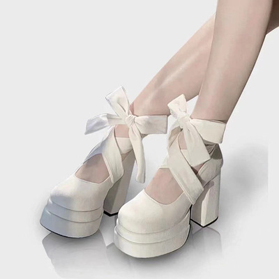 Mary Jane High Heels Women's Spring girls Strap Coarse shoes