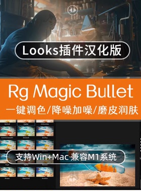 looks调色插件AE/PR/FCPX插件Magic Bullet滤镜汉化版Win/Mac2023