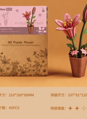木质3D立体DIY手工制作木艺繁花益智拼图全英文包装支持贴标W234