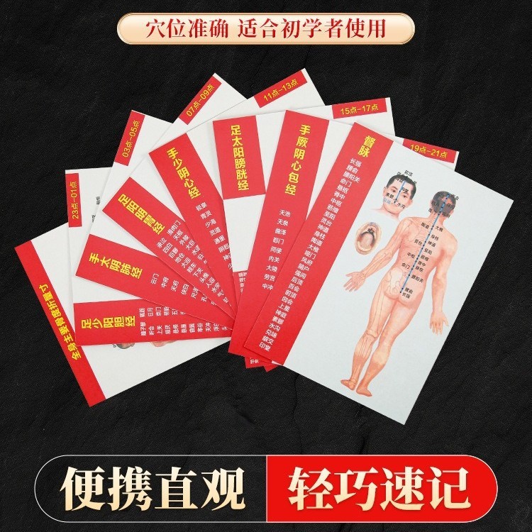 十二经络穴位图速记学习卡人体中医针灸模型教学走向挂12全身zj30
