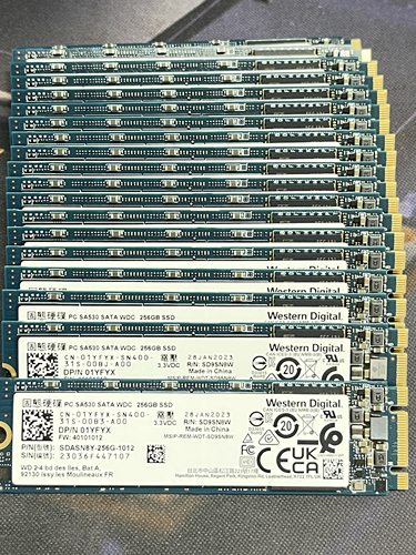 WD西部数据SA530 256G M.2 2280  sata协议 笔记本台式固态硬盘