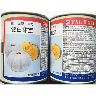进口泷井银白甜宝南瓜种子板栗蜜本南瓜种籽春秋大田蔬菜种孑苗秧