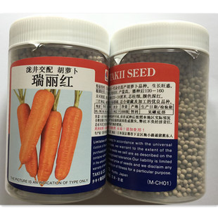 日本进口丸粒化机播胡萝卜种子春秋四季阳台盆栽蔬菜种孑沙窝凤梨