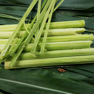 超甜北方甜杆种子高粱种籽甘蔗小甜棒芦稷大田春秋四季蔬菜种孑苗