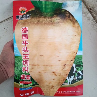 德国牛头王甜菜根量高制糖种子