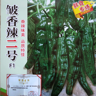 中农皱皮薄皮香辣椒种子线螺丝泡朝天麻皮椒种籽盆栽四季蔬菜孑苗