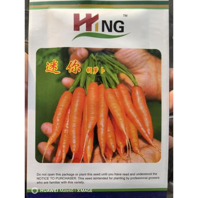 迷你胡萝卜种子秋季蔬菜种籽