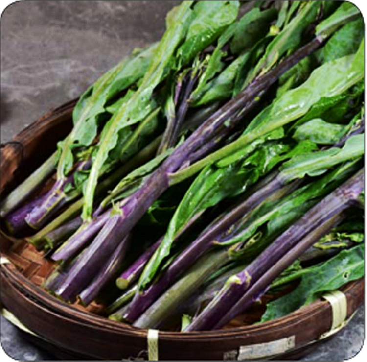 甜芯红芥蓝种子春秋四季阳台盆栽蔬菜种孑芥兰菜心菜苔种籽苗秧