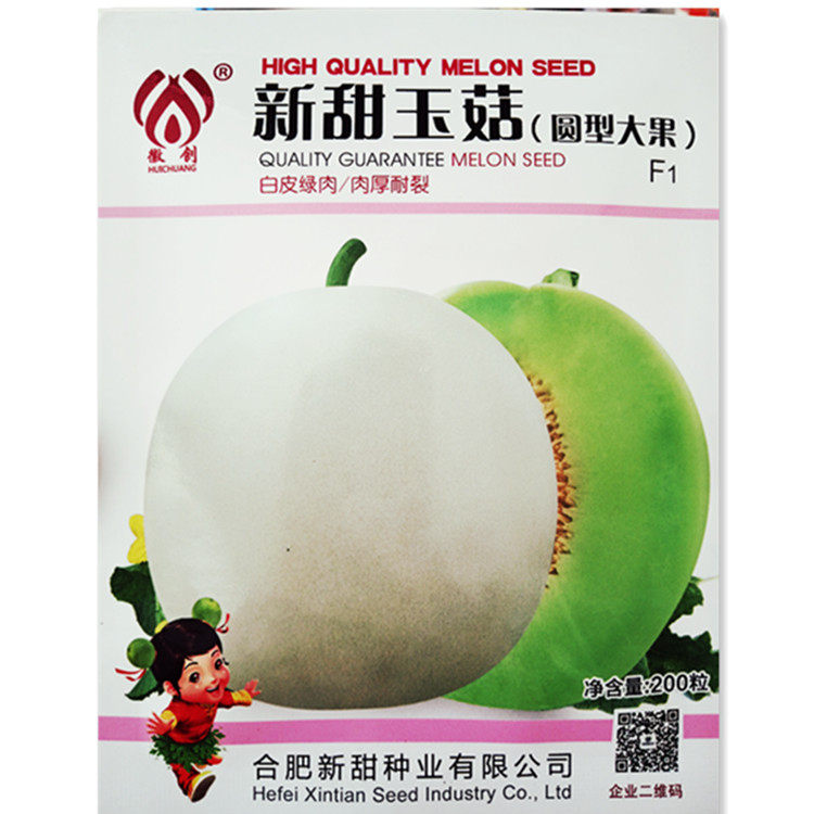 新甜玉菇甜瓜甜瓜种子春秋