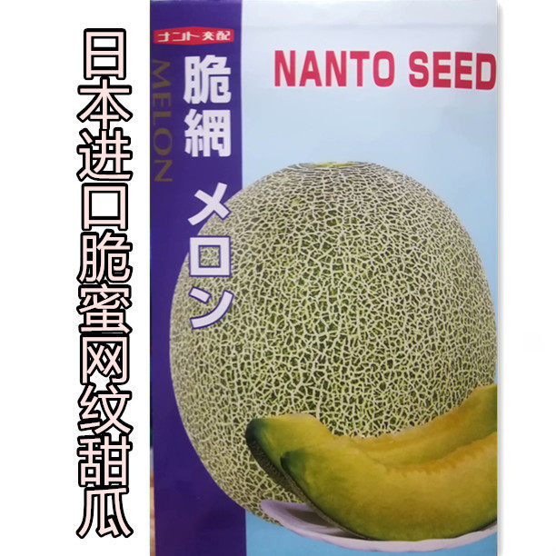 日本进口脆蜜网纹甜瓜种子 高糖  香甜蜜瓜籽水果春季蔬菜种籽孑