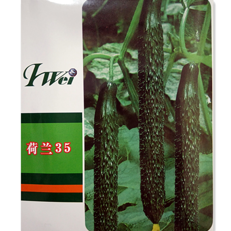 杂交绿心黄瓜种子春秋四季