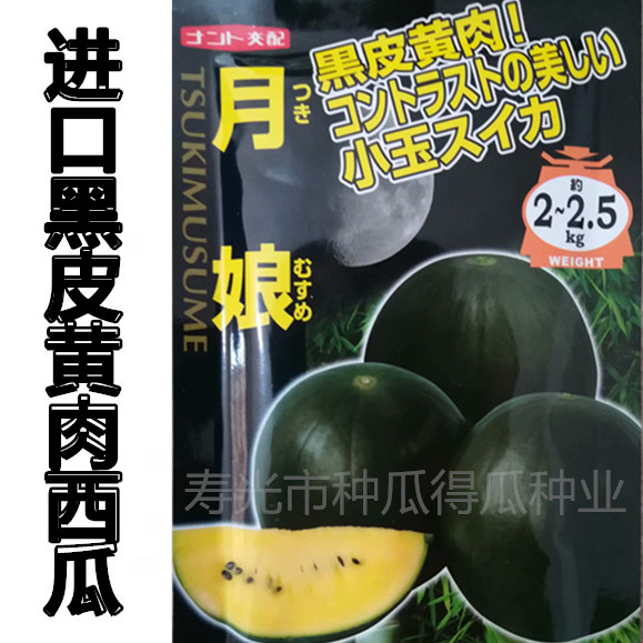日本进口黑皮黄壤西瓜种子 小凤红玉礼品型瓜水果春季蔬菜种籽孑,鲜花速递/花卉仿真/绿植园艺,家庭园艺种子,淘宝优惠券,粉丝福利购,淘宝优惠卷