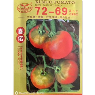 老品种西红柿草莓番茄种子水果樱桃铁皮柿子种籽阳台盆栽蔬菜苗秧