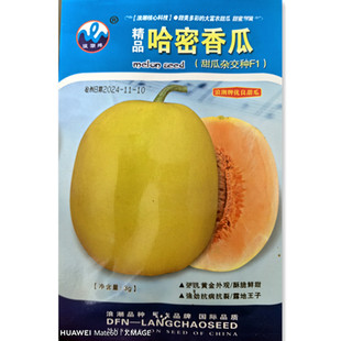 杂交哈密香瓜甜瓜种子薄皮高糖高产种籽春秋阳台盆栽大田蔬菜种苗