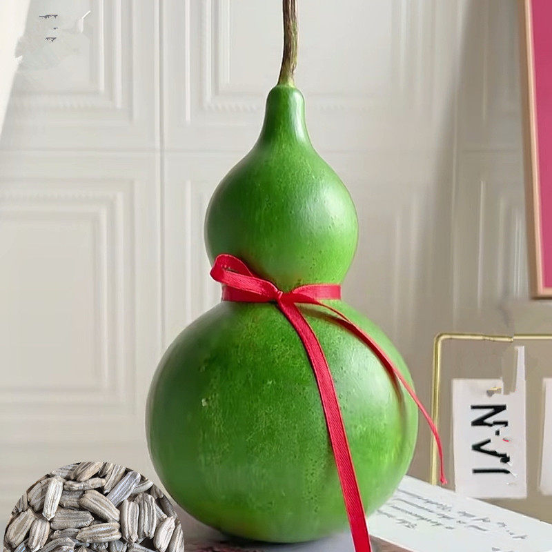 观赏文玩小葫芦种子爬藤亚腰墨绿葫芦籽种苗阳台室内盆栽种孑大全,鲜花速递/花卉仿真/绿植园艺,种苗/半成品盆栽,淘宝优惠券,粉丝福利购,淘宝优惠卷