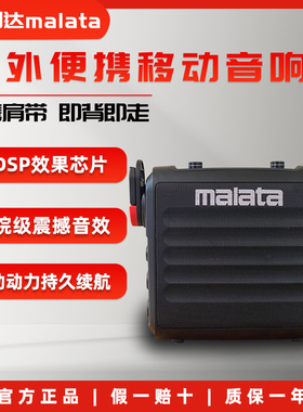 万利达（Malata）2025年新款M+9165便携式小型大功率户外蓝牙音响
