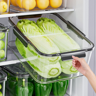 冰箱收納盒食品級保鮮盒大容量廚房蔬菜冷凍冷藏專用密封盒整理盒