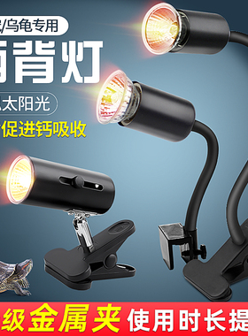 乌龟爬宠晒背灯uva取暖uvb加热保温太阳灯龟灯泡宠物乌龟恒温灯架