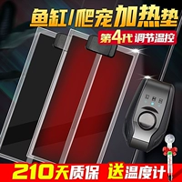 Восхождение на рыбную ящерицу с ящерицей