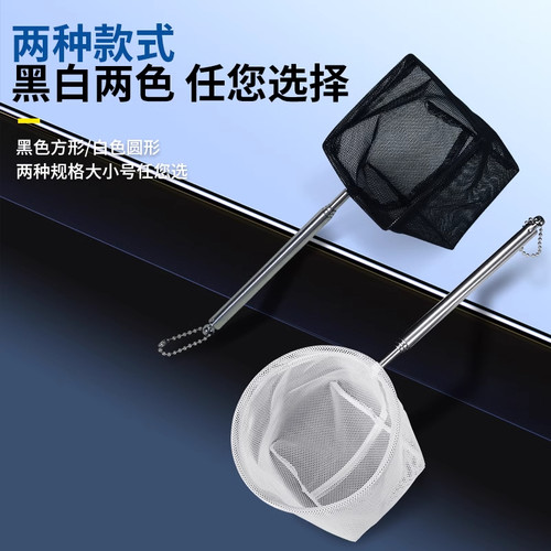 3d渔捞鱼捞捞鱼网热带观赏鱼