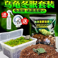 Черепаха с зимней спячкой поставляет кокосовую почву на зиму и тепло/тепло/мокрые