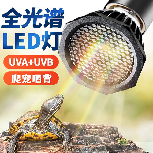乌龟晒背灯uvauvbled1爬虫爬宠灯