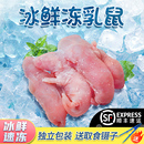 顺丰冰冻乳鼠爬宠食物小白鼠冰冻鼠无菌红皮乳鼠喂蛇老鼠喂蛇料