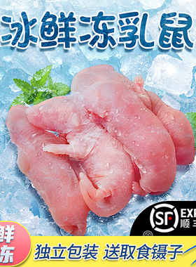 顺丰冰冻乳鼠爬宠食物小白鼠冰冻鼠无菌红皮乳鼠喂蛇老鼠喂蛇料