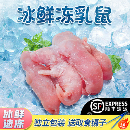 顺丰冰冻乳鼠爬宠食物小白鼠冰冻鼠无菌红皮乳鼠喂蛇老鼠喂蛇料