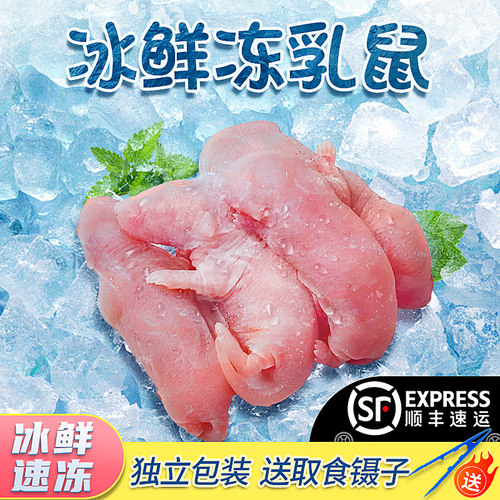 顺丰冰冻乳鼠爬宠蛇食物