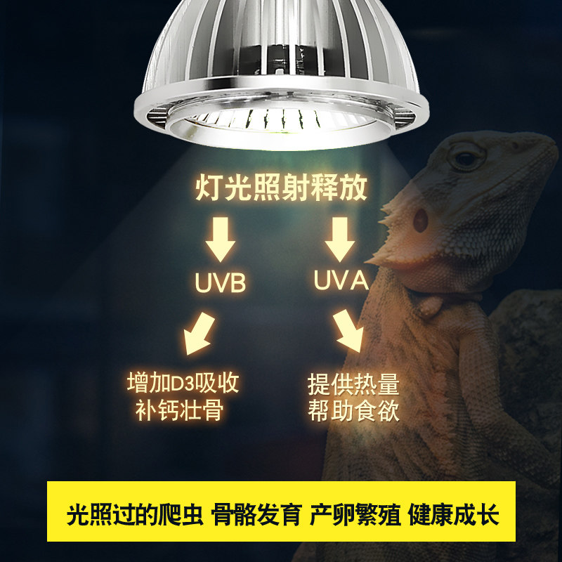 乌龟晒背灯UVA+UVB全光谱led太阳灯爬虫照背灯龟缸灯补钙三合一
