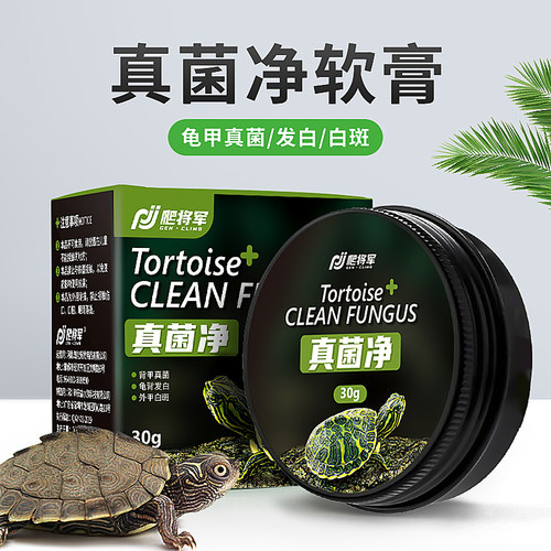 乌龟真菌净白斑真菌白点龟背护理