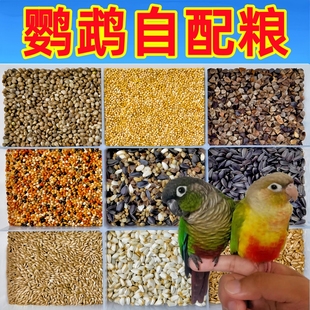 鹦鹉自配粮小太阳虎皮牡丹玄凤和尚蜡嘴自助混合鸟粮鸽粮仓鼠饲料