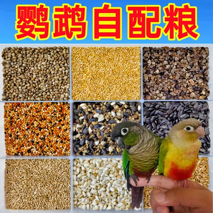 鹦鹉自配粮小太阳虎皮牡丹玄凤和尚蜡嘴自助混合鸟粮鸽粮仓鼠饲料