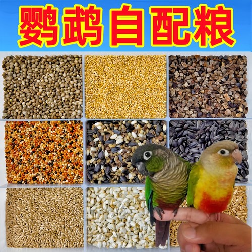鹦鹉自配粮各种单品自由混合