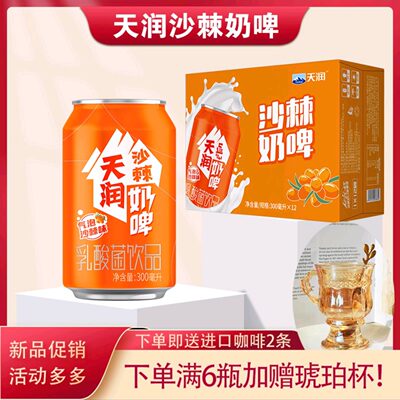 新疆天润沙棘奶啤乳酸菌饮料发酵乳易拉罐原浆乳饮品酸奶解腻