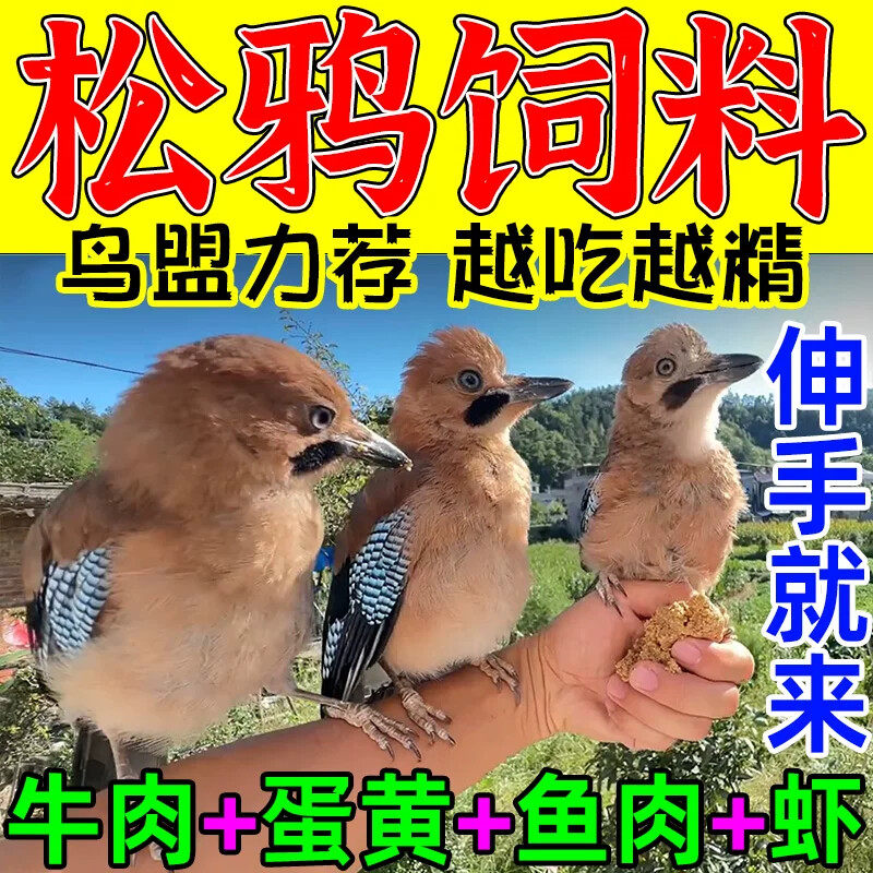 松鸦饲料八哥幼鸟雏崽专用粮喜鹊鹦鹉鹩哥鸟食乌鸫红嘴山鸦蓝鹊粮