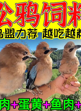 松鸦饲料八哥幼鸟雏崽专用粮喜鹊鹦鹉鹩哥鸟食乌鸫红嘴山鸦蓝鹊粮
