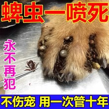 蜱虫专用宠物狗狗体外驱虫止痒去跳蚤虱子杀虫剂大宠爱喷雾剂