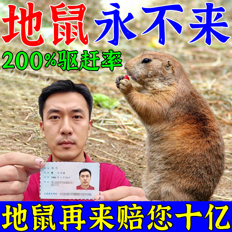 地鼠专用药驱鼹鼠神器鼹鼠驱赶器农田庄稼花生防田鼠黄鼠狼的专用 - 实物图